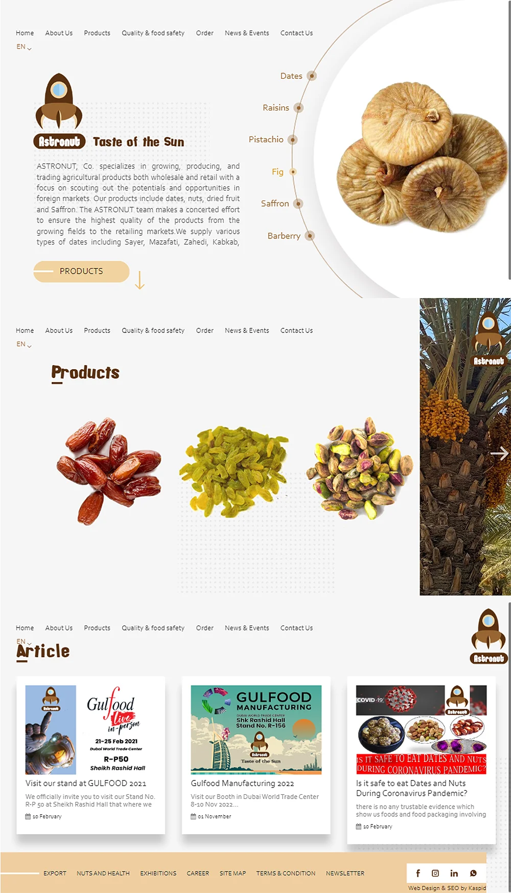 نمونه کار طراحی و بهینه سازی سایت شرکت Astronutfood
